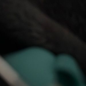 Meet your Posher, Marisol